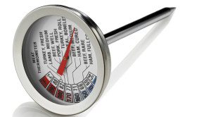 instant meat thermometer