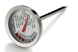 instant meat thermometer