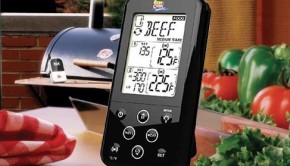 wireless meat probe